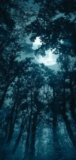 Mystical moonlit forest with towering trees silhouetted against a glowing night sky.