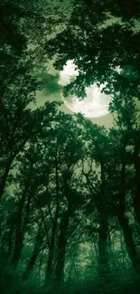 Mystical moonlit forest with a green hue.