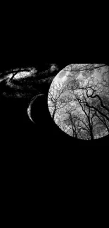 Dark, mystical wallpaper with trees silhouetted against a moonlit sky.