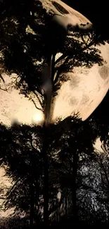 Silhouetted forest under a bright full moon at night.