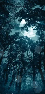 Mystical forest under moonlight with tall trees.