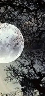 Moonlit forest with silhouette trees and full moon.