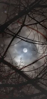 Moonlit forest with branches and night sky.