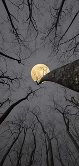 Mystical moonlit forest with bare trees and full moon.