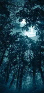 Moonlit forest with trees silhouetted against a starry night sky.