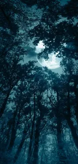 Moonlit forest with silhouetted trees against a serene night sky.