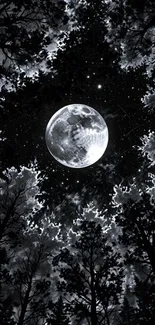 Moonlit forest with silhouetted trees and a bright full moon.