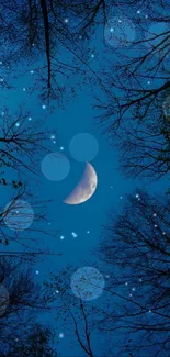 Moonlit forest scene with a crescent moon and silhouettes of trees against a dark blue sky.