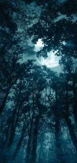 Mystical moonlit forest with silhouetted trees and full moon.