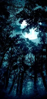 Mystical forest with a glowing moon illuminating the silhouette of trees.