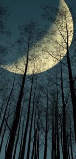 Moonlit forest with tall tree silhouettes beneath a crescent moon in a dark blue sky.