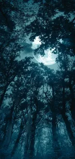 Mystical moonlit forest with silhouetted trees and glowing moon overhead.