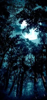 Moonlit forest with dark trees and a glowing blue sky.