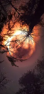 Glowing full moon behind silhouetted tree branches in a mystical night forest.