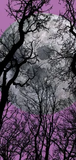 Moonlit forest with tree silhouettes against a purple sky.