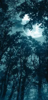 Moonlit forest with trees silhouetted against a bright night sky.