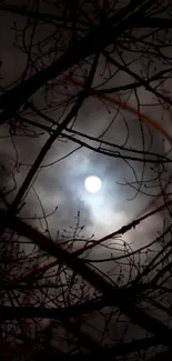 Moonlit night with branches silhouette against a cloudy sky.