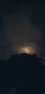 Moonlit night with dark tree silhouette and cloudy sky.