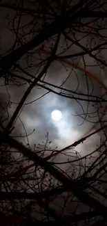 Moonlight peeking through dark bare branches on a cloudy night.