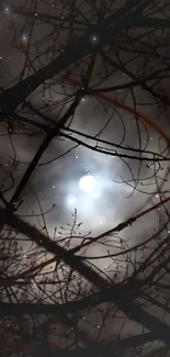 Full moon behind silhouetted tree branches on a starry night.