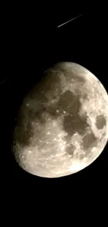 Moonlit night sky with a glowing moon on a dark background.