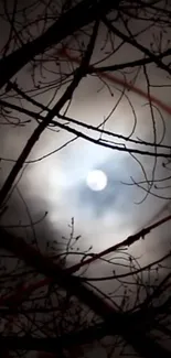 Moonlit night sky with tree silhouettes in a mysterious ambiance.