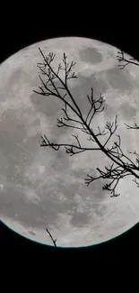 Mobile wallpaper featuring a full moon and tree branches against a black sky.