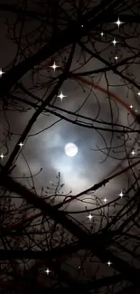 Ethereal moonlit night scene with starry branches.