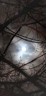 Moonlit night with tree silhouettes and cloudy sky wallpaper.