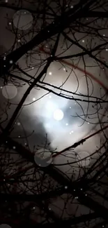 Mystical moonlit night wallpaper with silhouetted branches.