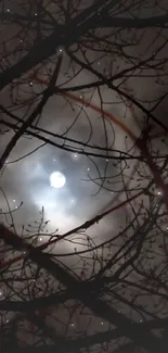 Dark branches shadowed against a luminous moonlit sky.