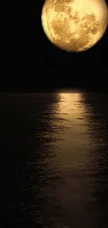 Full moon reflecting on a dark ocean at night, creating a serene atmosphere.