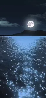 Moonlit night over calm ocean with island in silhouette.