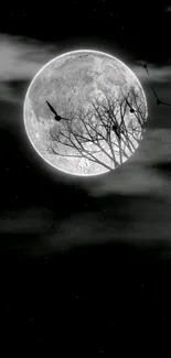 Moonlit night sky with branches silhouetted against a glowing full moon.