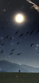 Mystical night sky with moon and birds.