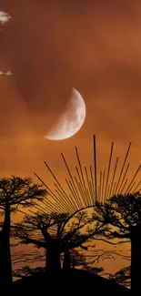 Mystical trees silhouetted against a copper moonlit sky.