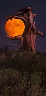 Enchanting moon cradled in tree at night, creating serene nature art.