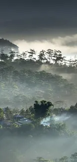 Misty mountain view with lush greenery and gentle fog.