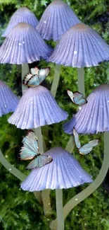 Lavender mushrooms with butterflies on green moss.