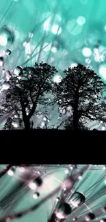 Silhouetted trees against teal, sparkling background.