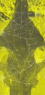 Mystical skull with cobwebs on a bright yellow background.