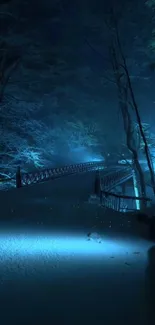 A serene snowy bridge at night in a forest.