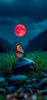 Butterfly on rock with red moon in background.