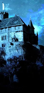 Mystical night castle with blue starry sky.