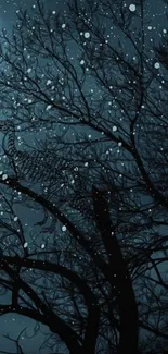 Dark silhouette of trees in a moonlit forest with falling snow.