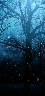 Mystical night forest with stars glowing in the dark blue sky.