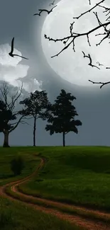 Moonlit path with trees and birds under a cloudy night sky.