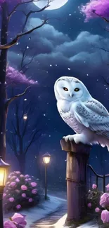 Fantasy night owl in moonlit forest setting