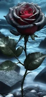 Red mystical rose by the ocean on a dark night.