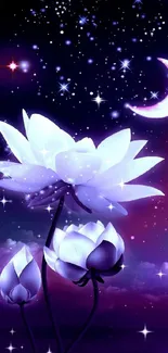 Mystical night sky with lotus and stars.